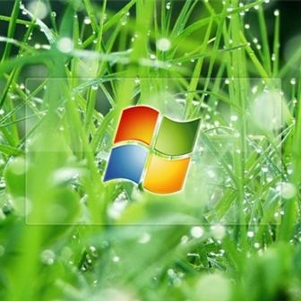 windows logo on a green background